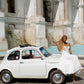 Hey Lady💋™ - "La Dolce Vita"-2026-ROME-FLORENCE-AMALFI COAST-SOLD OUT!
